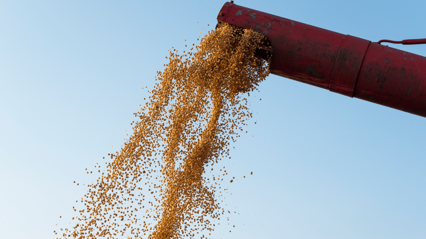 Россия препятствует совершению "зернового соглашения"
