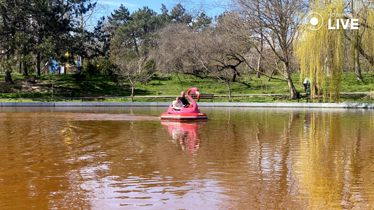 Краще не чіпати воду у парку Перемоги — у чому небезпека для одеситів - фото 4