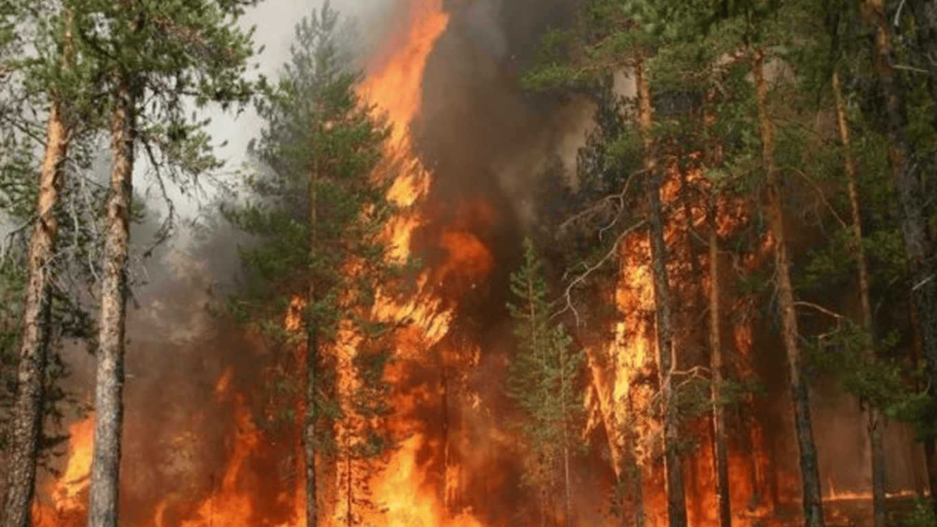 Риск пожаров остается высоким: в Укргидрометцентре предупредили об опасности