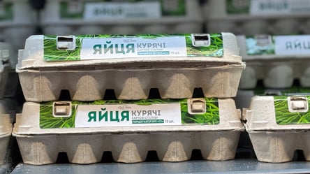 Яйца подорожали раньше — сколько стоит десяток и что будет дальше - 285x160