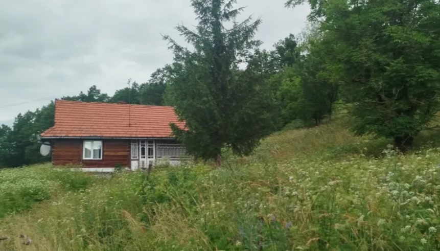 Рай у горах — скільки коштують будинки в Карпатах у вересні - фото 5