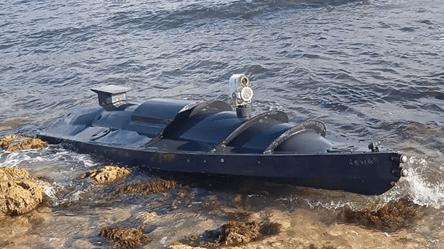 В сети появилось видео работы украинских надводных дронов - 285x160
