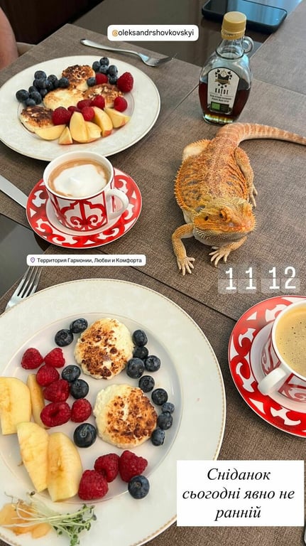 Александр Шовковский