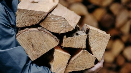 Зимняя помощь — кто получит около 20 тыс. грн на покупку дров - 285x160
