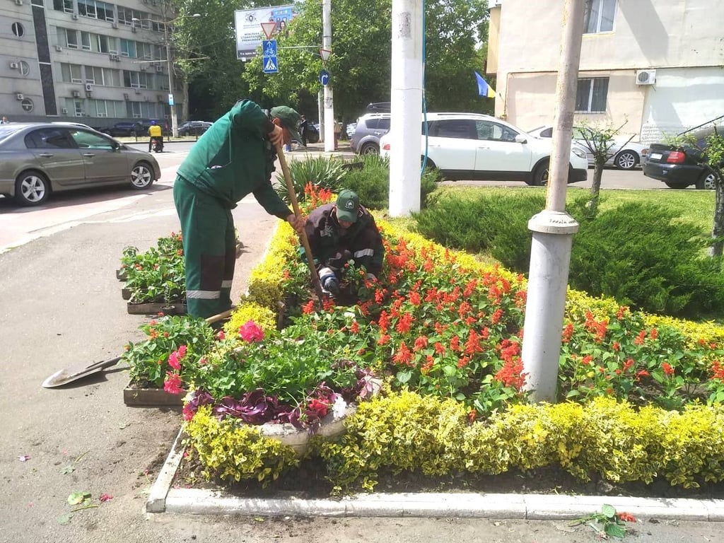 Тисячі літніх квітів — як Одеса озелениться цього сезону - фото 4