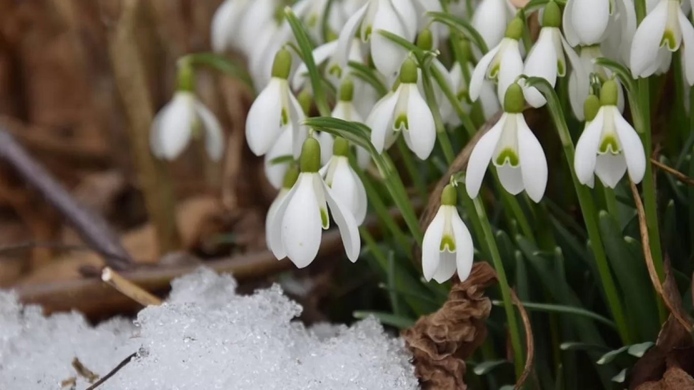Якою буде весна в Україні - прогноз погоди на березень