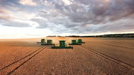 Ціни на зерно в Україні — скільки коштує пшениця наприкінці грудня - 285x160