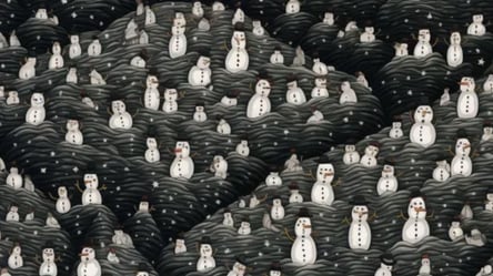 Серед купи абияк зроблених сніговиків ідеальний лише один — де він - 285x160