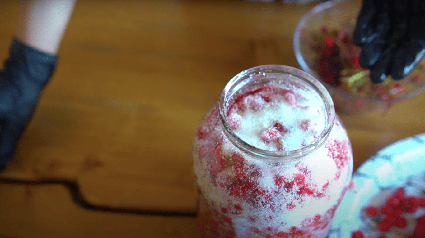 калина зиму з цукром