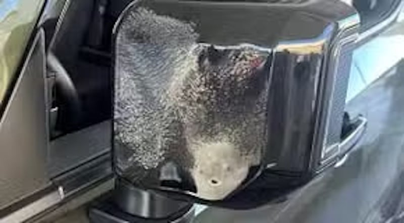 Расплавленное на солнце зеркало Lexus GX 550.