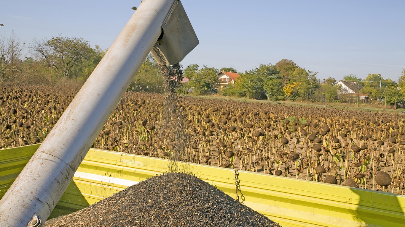 Цены на зерновые в Украине по состоянию на 7 сентября 2023 года