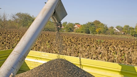 Ціни на зерно в Україні: скільки коштує соняшник у вересні - 285x160