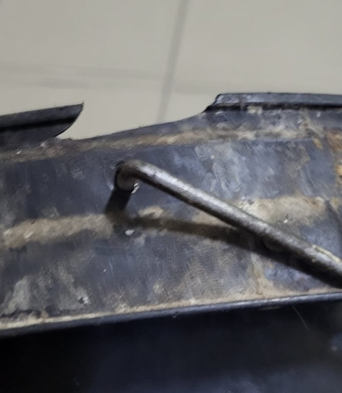 Накрыли ведром, а она убежала - в Одессе ищут змею - фото 2