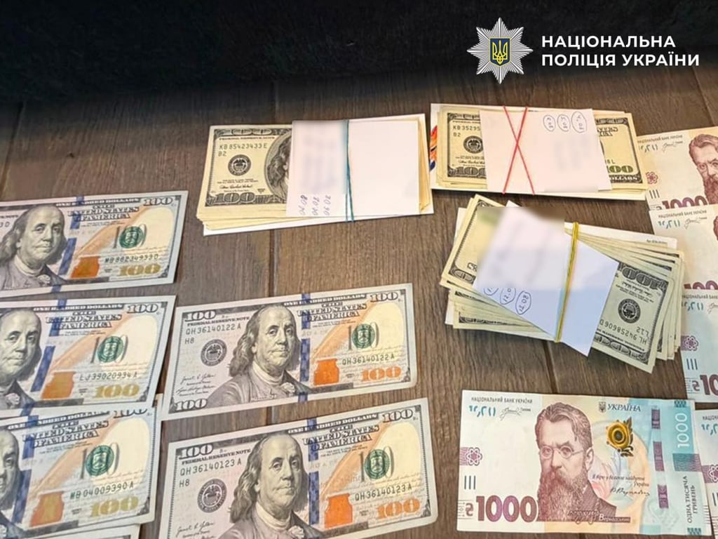 Десять тисяч доларів за інвалідність: у Києві затримали члена ВЛК - фото 3