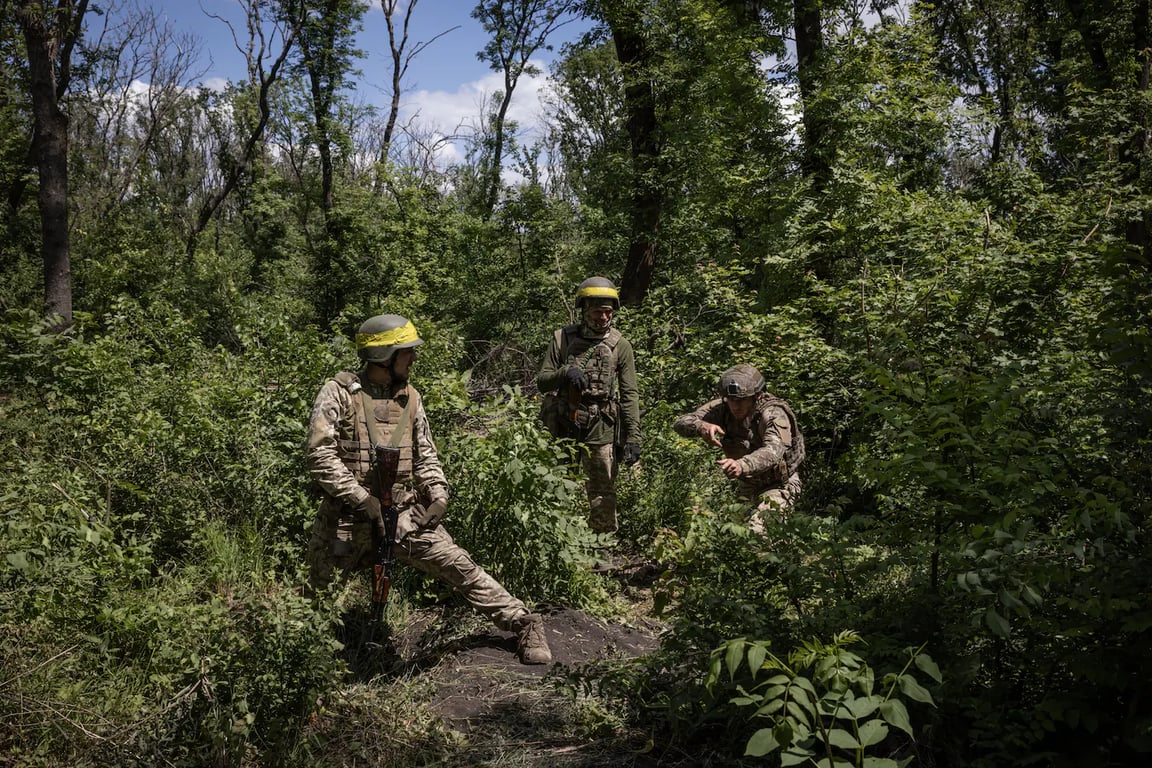 зсу критика мобілізації