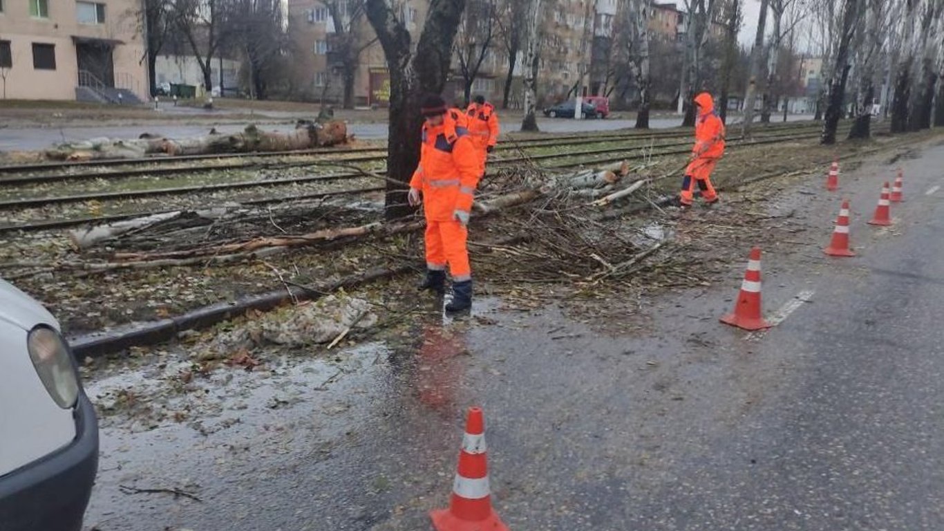 В результате непогоды в Одессе повалено 400 деревьев, — горсовет