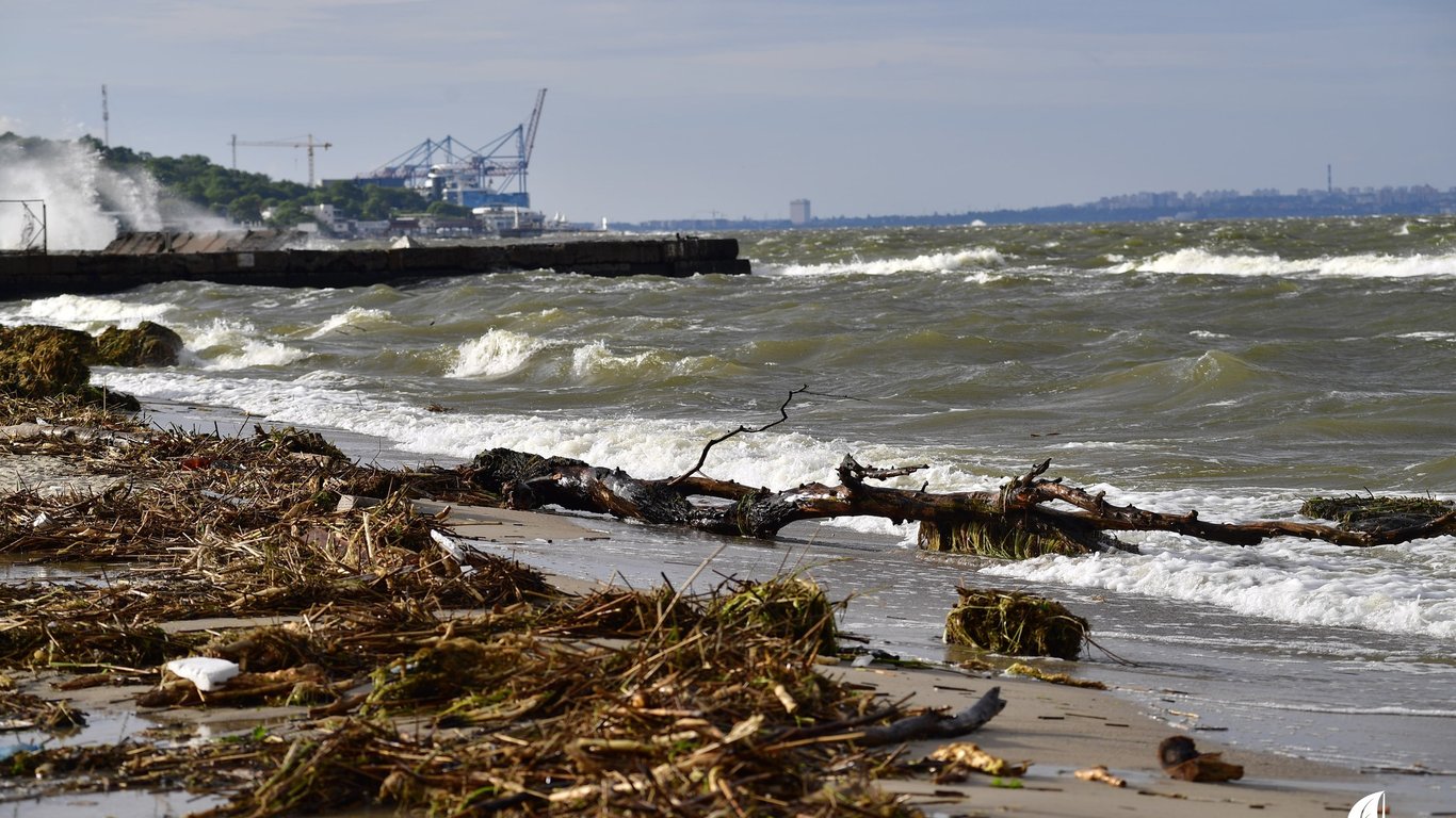Опасность на побережье: одесситов призвали не трогать мусор с пляжей