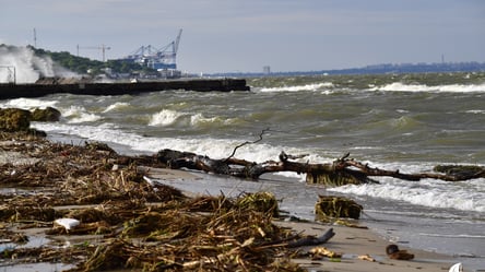 Опасность на побережье: одесситов призвали не трогать мусор с пляжей - 285x160