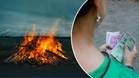 Чи можна палити сміття на своїй ділянці: правила та штрафи у 2026 році - 285x160