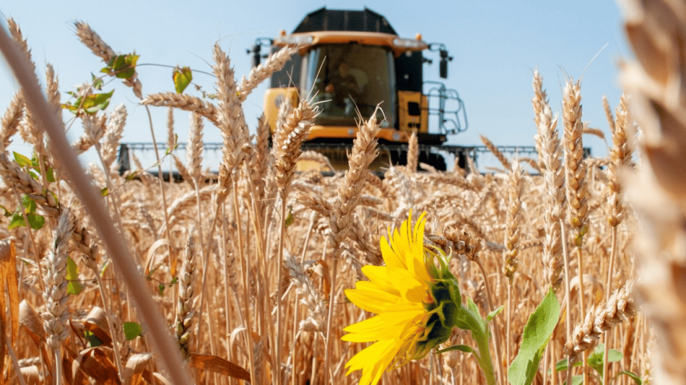 Ціни на зернові в Україні станом на 28 квітня 2024 року