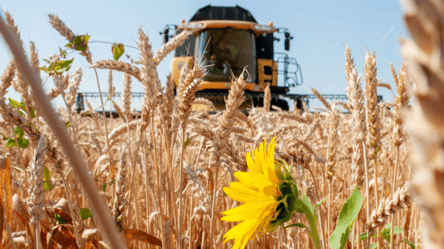 Ціни на зерно в квітні — скільки коштує пшениця в Україні - 285x160