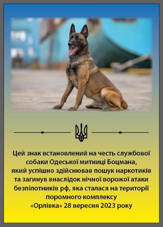 На Одесщине установили памятный знак собаке, погибшей в результате удара РФ - фото 1