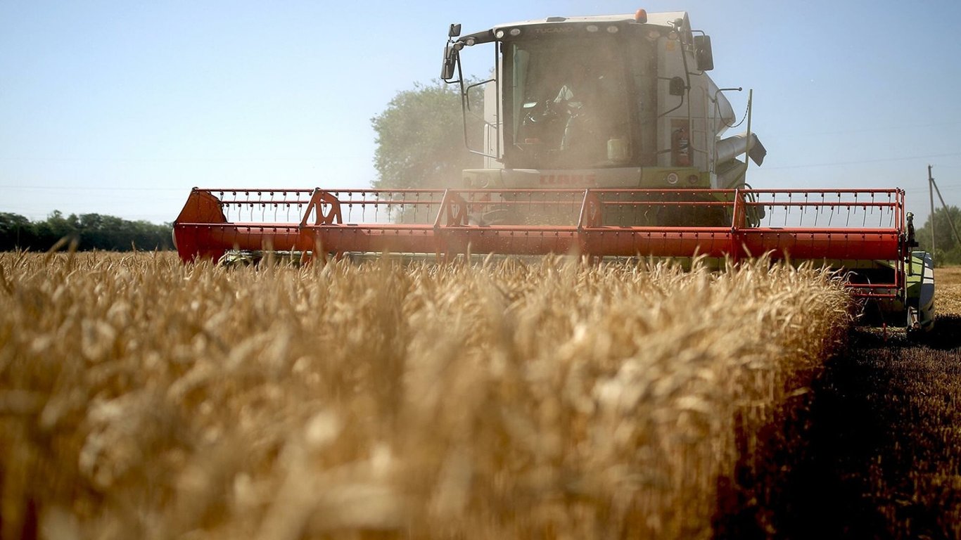 Цены на зерновые в Украине по состоянию на 10 ноября 2023 года