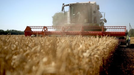 Цены на зерно в Украине. Сколько стоит ячмень в ноябре - 285x160