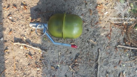 Граната в парке — в Одессе обнаружили боеприпасы - 285x160