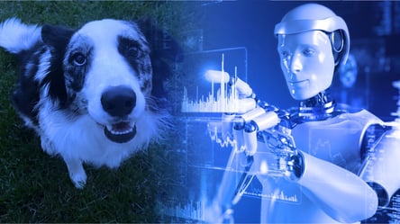 Искусственный интеллект ChatGPT спас жизнь собаке - 285x160