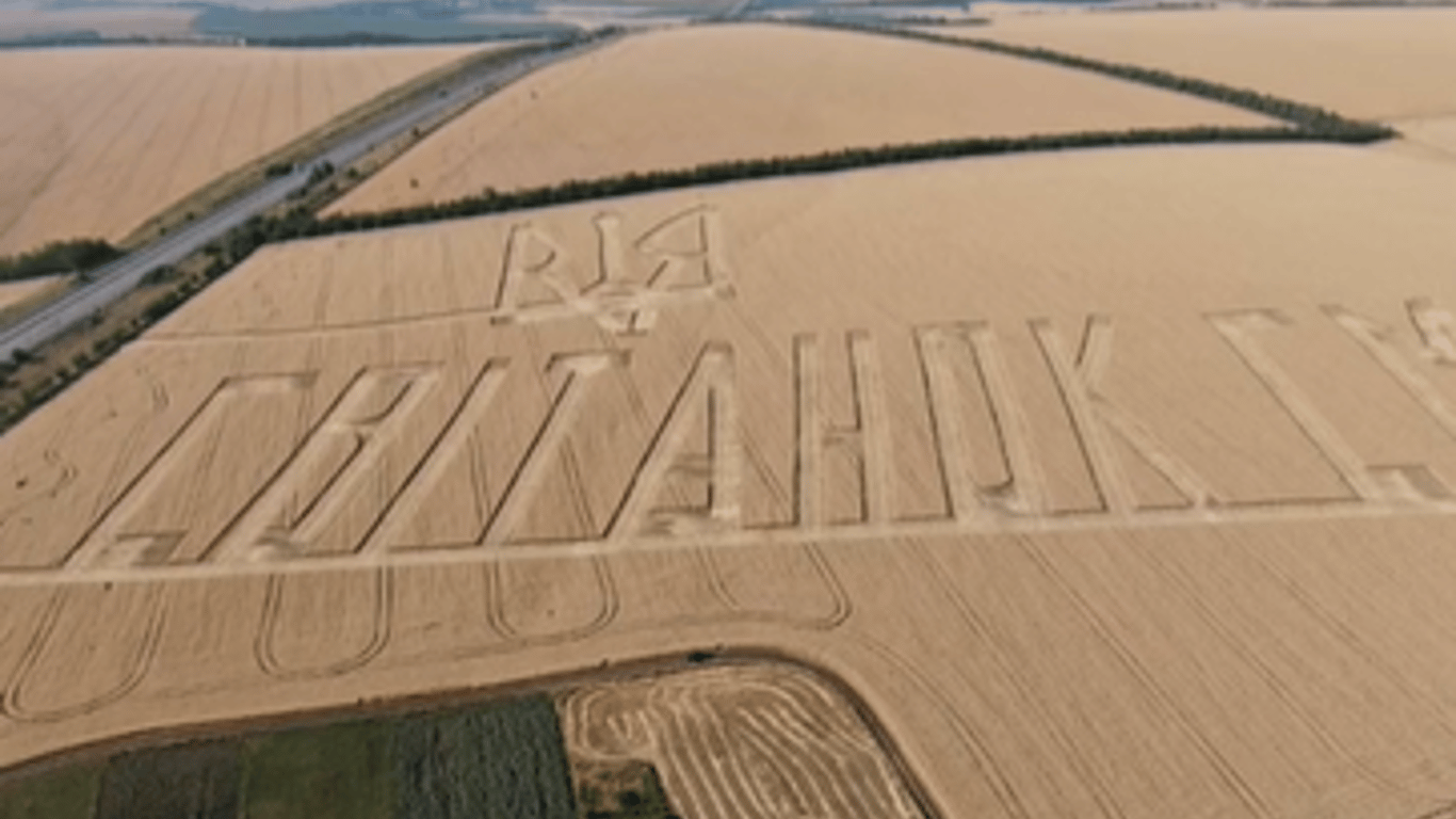 Одесские фермеры выкосили на поле Герб Украины: теперь зовут в гости