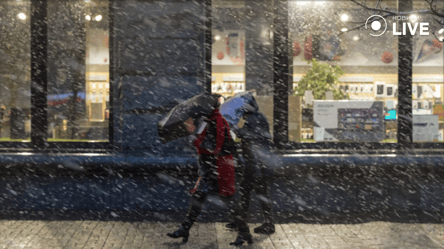 Мокрий сніг та дощі — в Укргідрометцентрі розповіли, де завтра чекати негоду - 285x160