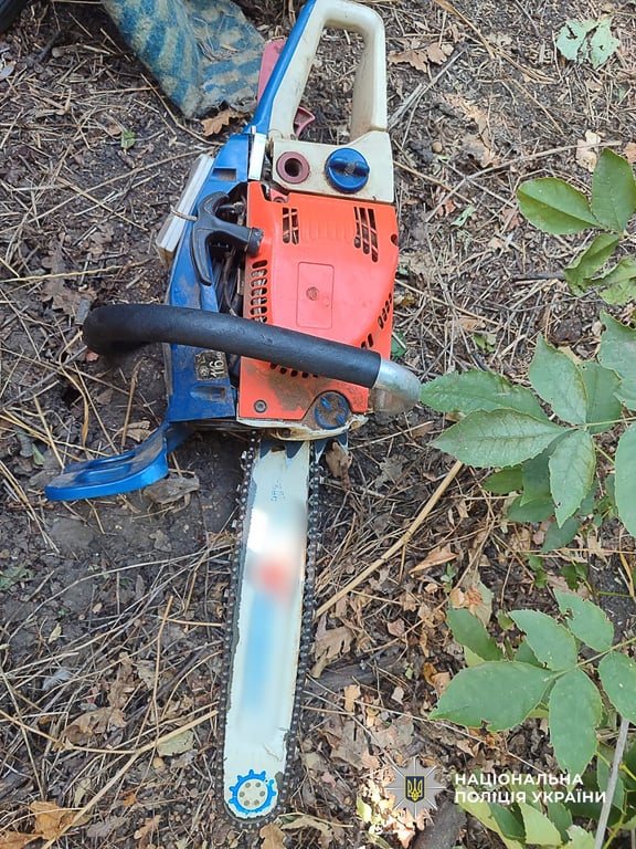 Завдали значних збитків — на Одещині покарали трьох лісорубів - фото 3