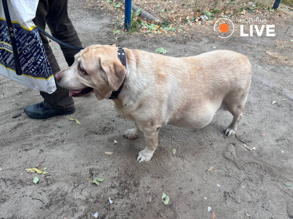 Удар по Харькову 15 сентября - детали
