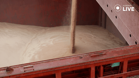 Экспорт зерна и других продуктов через порты Одесчины растет — подробности - 285x160