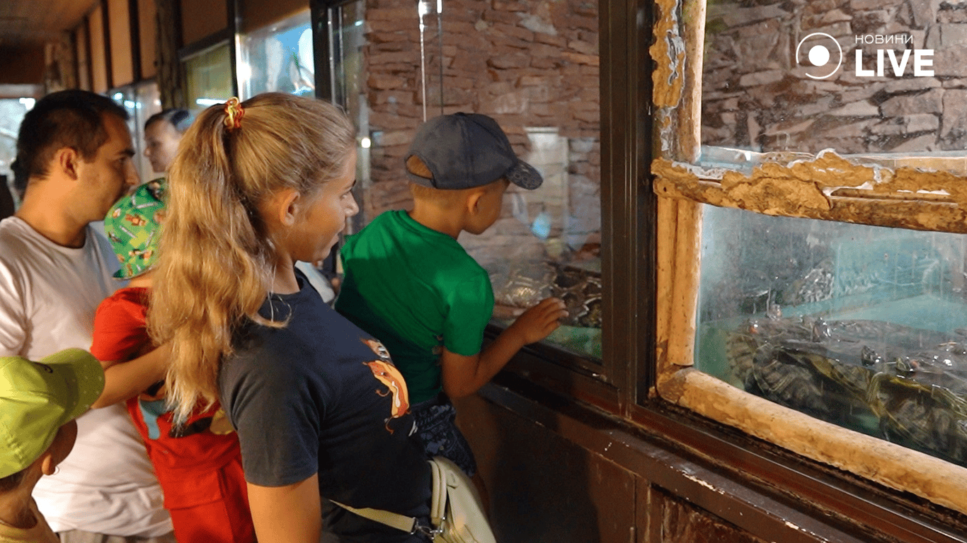 Дети смотрят в аквариум. Фото: Новини.LIVE