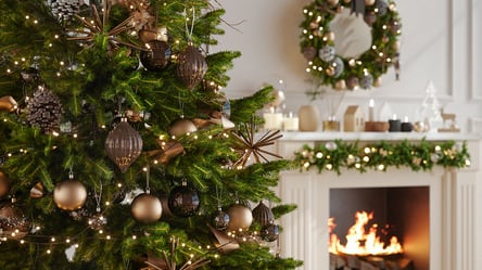 Сосни й ялинки більше не жовтіють — один розчин рятує хвою - 285x160