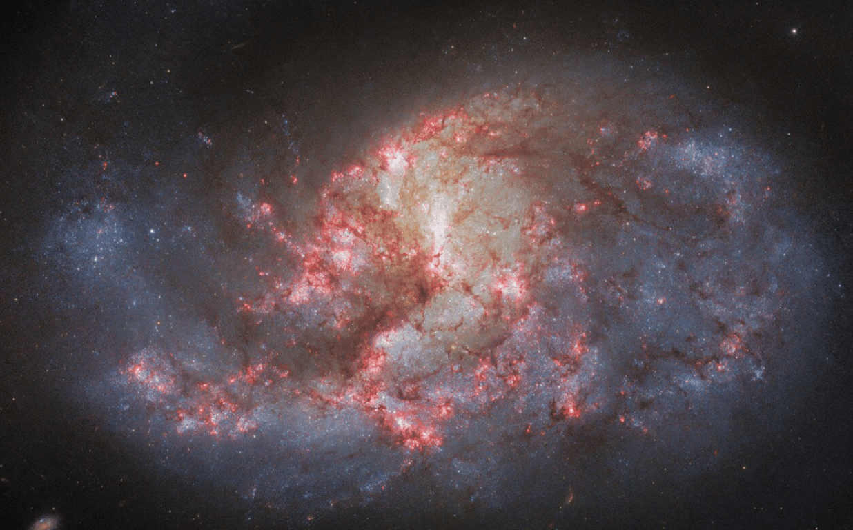 Спиральная галактика NGC 1385 в цвете.