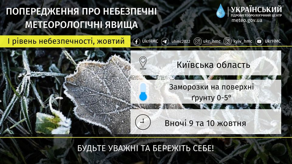 заморозки на Київщині