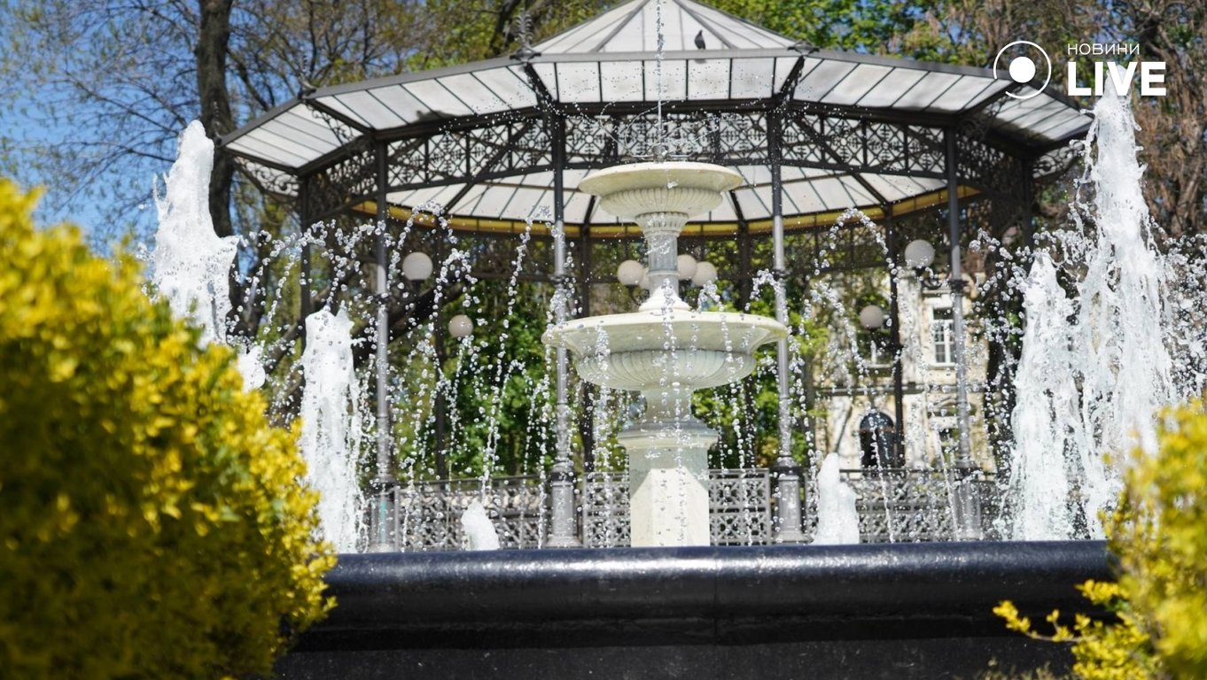 В Одесі зацвіли сакури