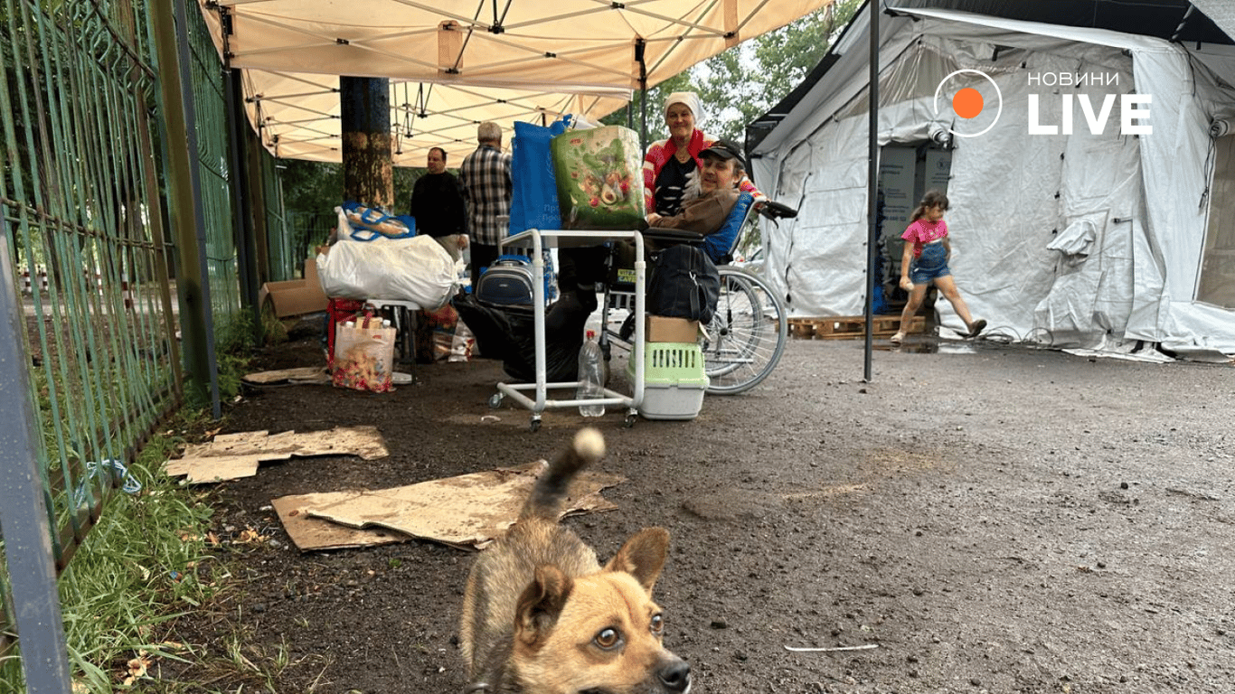Евакуація у транзитний центр Павлограда