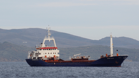 РФ атакувала судно, що йшло в порт на Одещині - 285x160