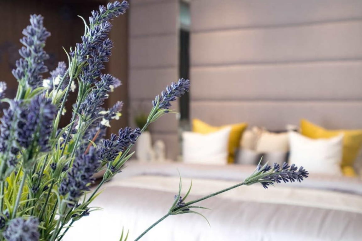 У чому користь лаванди для здоров'я