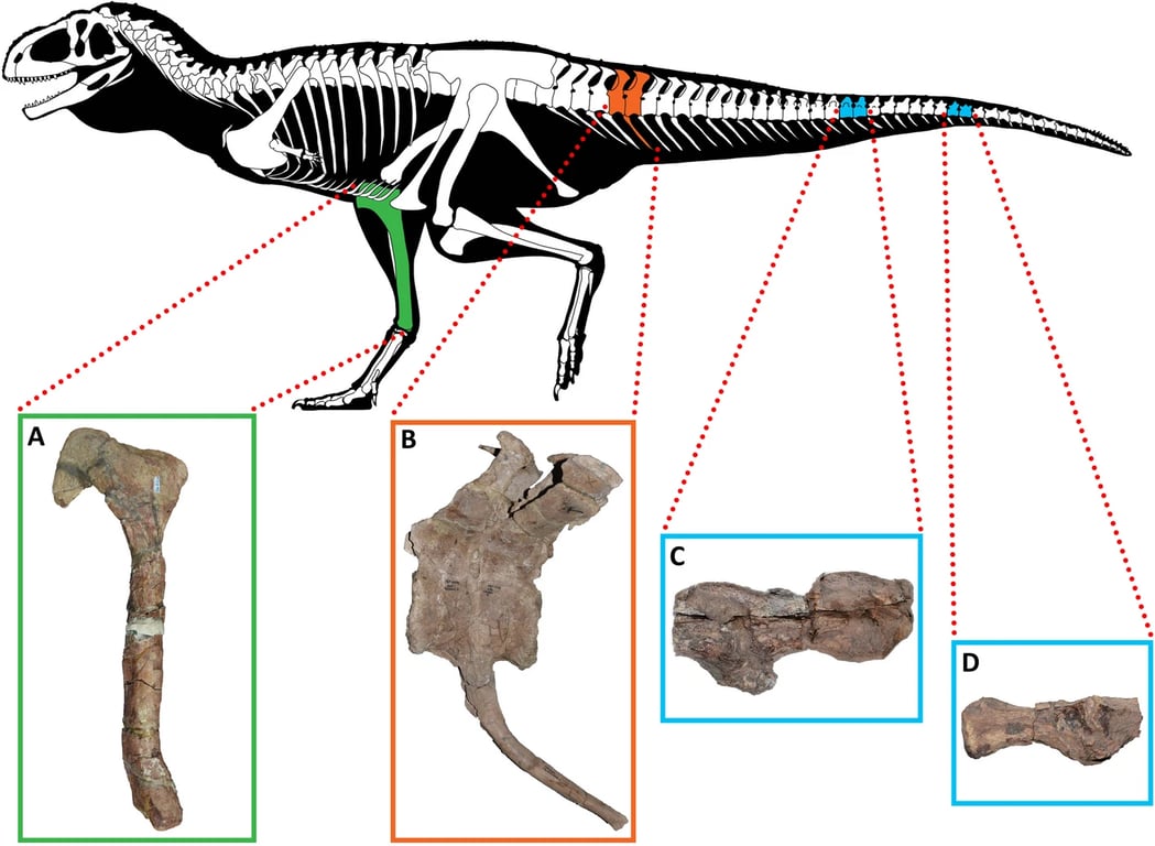 В костях динозавра ученые обнаружили человеческую болезнь — чем они болели