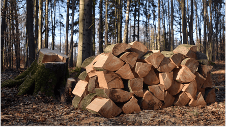 Какие дрова самые дешевые и подходят ли они для отопления - 285x160