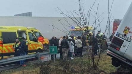 В Венгрии автобус с украинцами слетел в кювет — есть пострадавшие - 285x160