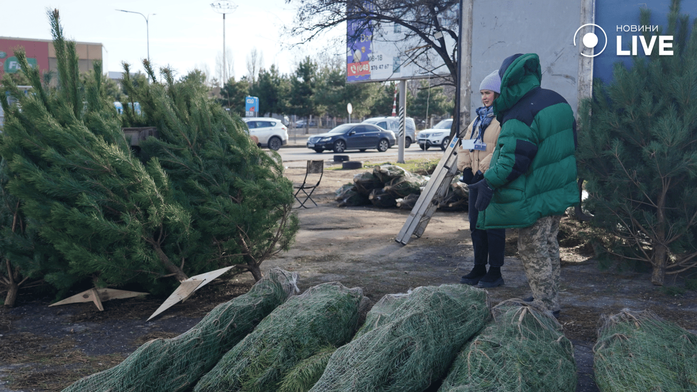 Скільки коштують ялинки в Одесі у 2025 році — огляд локацій - фото 5