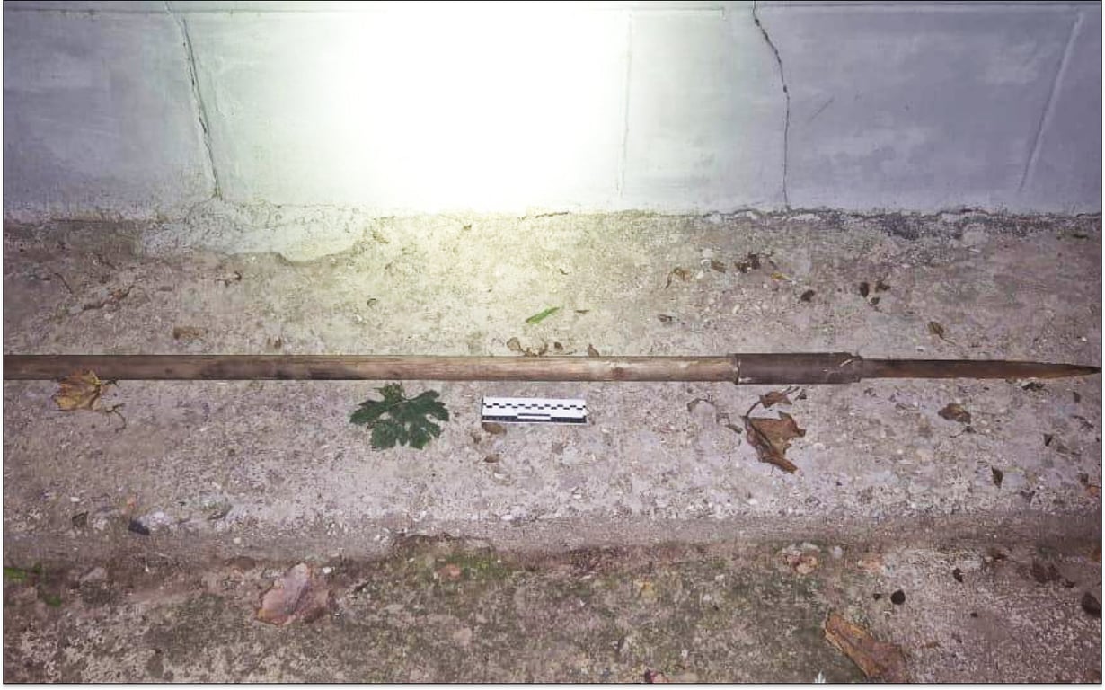 Майже лицар — мешканець Одещини захистив свою честь списом - фото 1