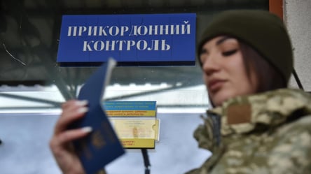 Пересечение границы без свидетельства о болезни — совет юристов - 290x160