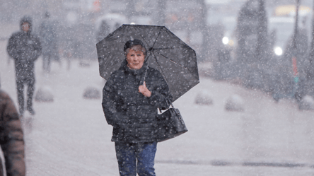 Диденко предупредила о снеге завтра — каким областям готовиться - 290x166